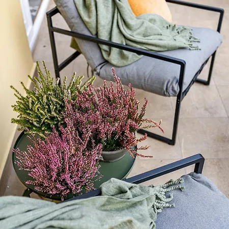 Breuer Apartamento Pécs